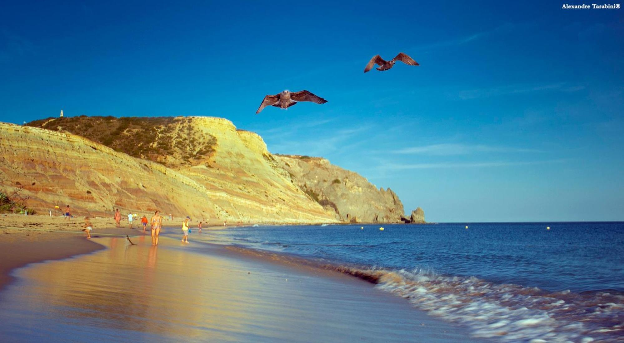 Akisol Apartments In Burgau ブデンス エクステリア 写真